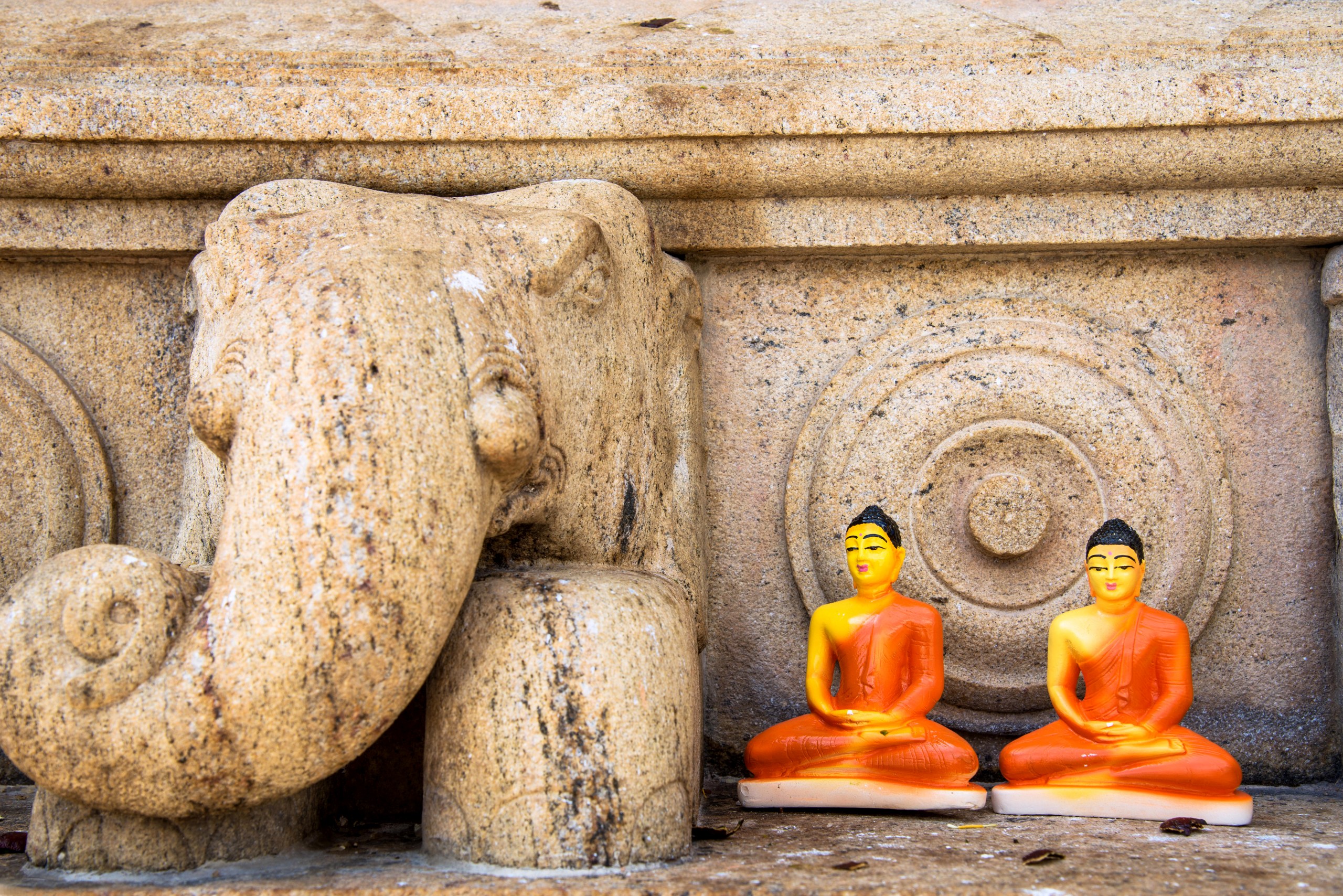 An elephant detail at Ruwanweli Dagoba in Anuradhapura, Sri Lanka