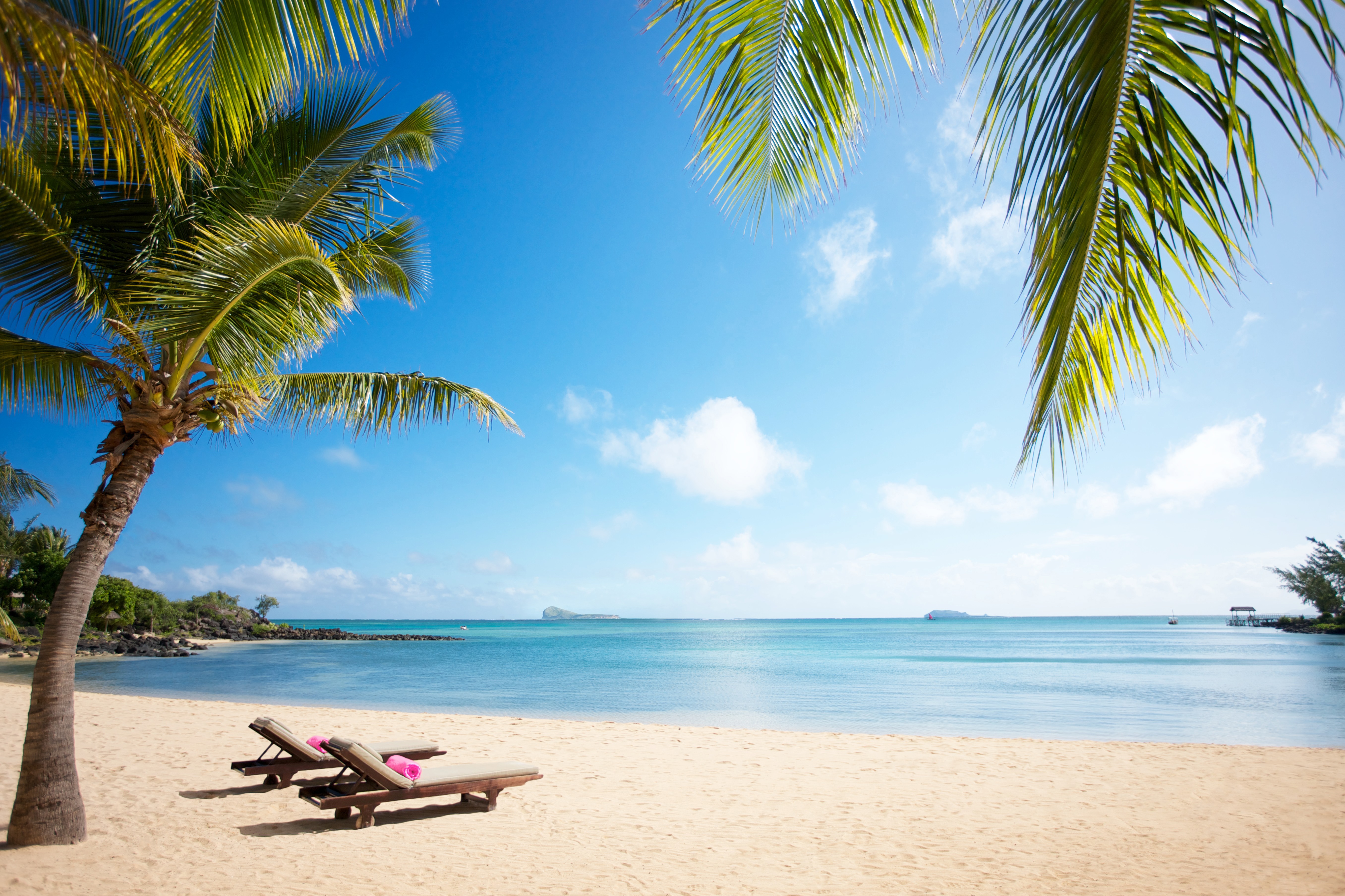 Beach scene with two lounge chairs and palm trees.